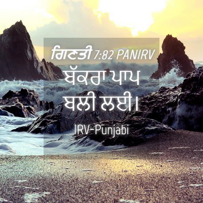 Picture 04 - ਗਿਣਤੀ 7:82 PANIRV - ਬੱਕਰਾ ਪਾਪ ਬਲੀ - Bible Verse Picture