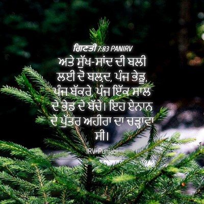 Picture 04 - ਗਿਣਤੀ 7:83 PANIRV - ਅਤੇ ਸੁੱਖ-ਸਾਂਦ ਦੀ - Bible Verse Picture
