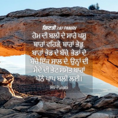 Picture 04 - ਗਿਣਤੀ 7:87 PANIRV - ਹੋਮ ਦੀ ਬਲੀ ਦੇ ਸਾਰੇ - Bible Verse Picture