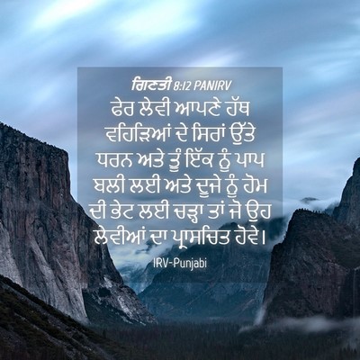 Picture 04 - ਗਿਣਤੀ 8:12 PANIRV - ਫੇਰ ਲੇਵੀ ਆਪਣੇ ਹੱਥ - Bible Verse Picture