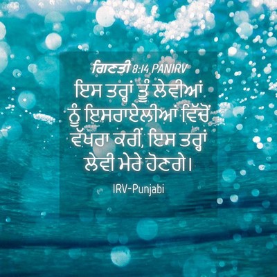 Picture 04 - ਗਿਣਤੀ 8:14 PANIRV - ਇਸ ਤਰ੍ਹਾਂ ਤੂੰ - Bible Verse Picture