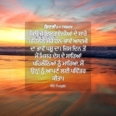 Picture 04 - ਗਿਣਤੀ 8:17 PANIRV - ਕਿਉਂ ਜੋ ਇਸਰਾਏਲੀਆਂ - Bible Verse Picture