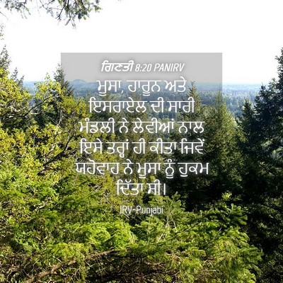 Picture 04 - ਗਿਣਤੀ 8:20 PANIRV - ਮੂਸਾ, ਹਾਰੂਨ ਅਤੇ - Bible Verse Picture