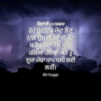Picture 04 - ਗਿਣਤੀ 8:8 PANIRV - ਫੇਰ ਉਹ ਇੱਕ ਮੇਂਢਾ - Bible Verse Picture