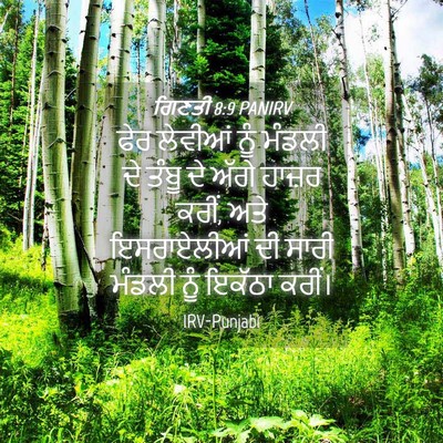 Picture 04 - ਗਿਣਤੀ 8:9 PANIRV - ਫੇਰ ਲੇਵੀਆਂ ਨੂੰ - Bible Verse Picture