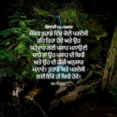 Picture 04 - ਗਿਣਤੀ 9:14 PANIRV - ਜੇਕਰ ਤੁਹਾਡੇ ਵਿੱਚ - Bible Verse Picture