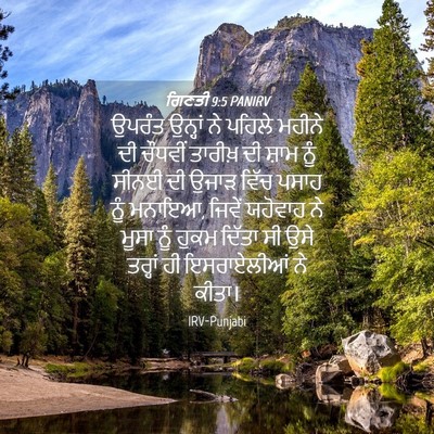 Picture 04 - ਗਿਣਤੀ 9:5 PANIRV - ਉਪਰੰਤ ਉਨ੍ਹਾਂ ਨੇ - Bible Verse Picture