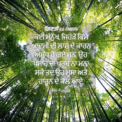 Picture 04 - ਗਿਣਤੀ 9:6 PANIRV - ਕਈ ਮਨੁੱਖ, ਜਿਹੜੇ - Bible Verse Picture