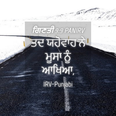 Picture 04 - ਗਿਣਤੀ 9:9 PANIRV - ਤਦ ਯਹੋਵਾਹ ਨੇ ਮੂਸਾ - Bible Verse Picture