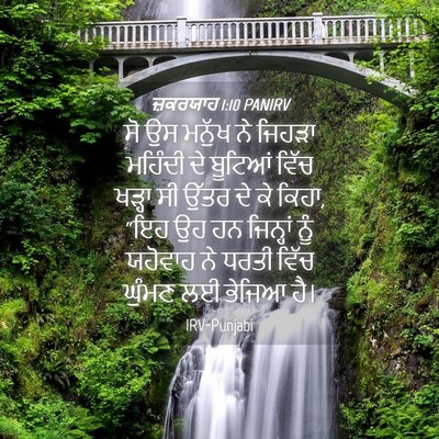 Picture 04 - ਜ਼ਕਰਯਾਹ 1:10 PANIRV - ਸੋ ਉਸ ਮਨੁੱਖ ਨੇ - Bible Verse Picture