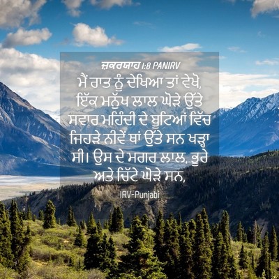 Picture 04 - ਜ਼ਕਰਯਾਹ 1:8 PANIRV - ਮੈਂ ਰਾਤ ਨੂੰ ਦੇਖਿਆ - Bible Verse Picture