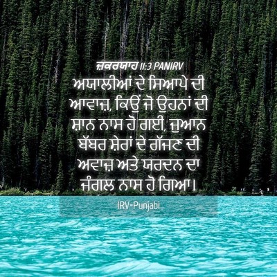 Picture 04 - ਜ਼ਕਰਯਾਹ 11:3 PANIRV - ਅਯਾਲੀਆਂ ਦੇ ਸਿਆਪੇ - Bible Verse Picture