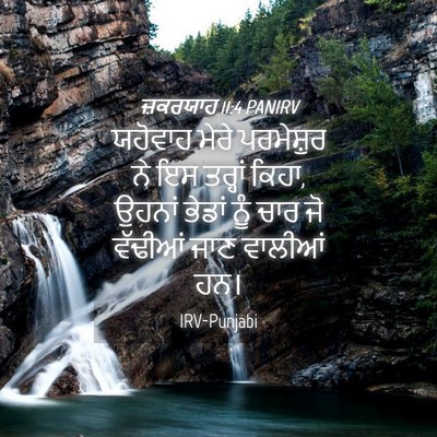 Picture 04 - ਜ਼ਕਰਯਾਹ 11:4 PANIRV - ਯਹੋਵਾਹ ਮੇਰੇ - Bible Verse Picture