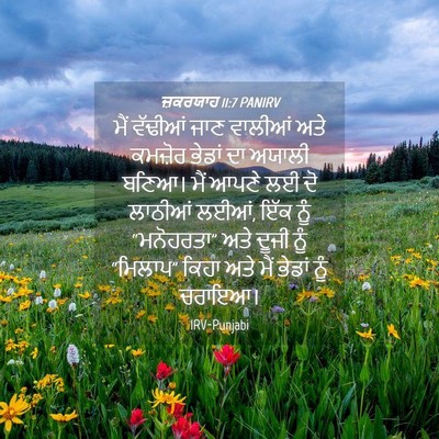 Picture 04 - ਜ਼ਕਰਯਾਹ 11:7 PANIRV - ਮੈਂ ਵੱਢੀਆਂ ਜਾਣ - Bible Verse Picture