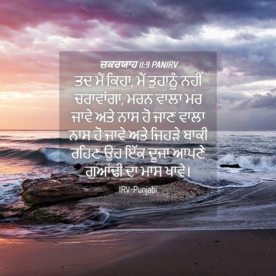 Picture 04 - ਜ਼ਕਰਯਾਹ 11:9 PANIRV - ਤਦ ਮੈਂ ਕਿਹਾ, ਮੈਂ - Bible Verse Picture