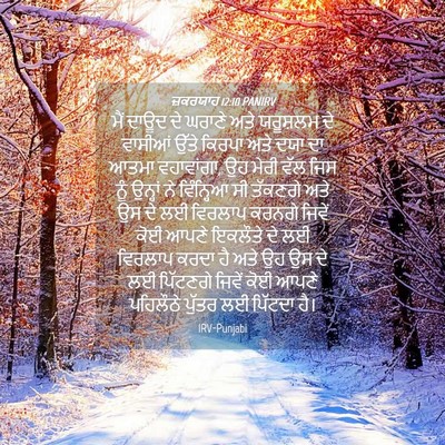 Picture 04 - ਜ਼ਕਰਯਾਹ 12:10 PANIRV - ਮੈਂ ਦਾਊਦ ਦੇ ਘਰਾਣੇ - Bible Verse Picture