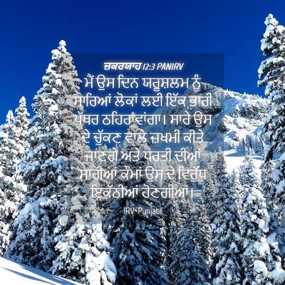Picture 04 - ਜ਼ਕਰਯਾਹ 12:3 PANIRV - ਮੈਂ ਉਸ ਦਿਨ ਯਰੂਸ਼ਲਮ - Bible Verse Picture