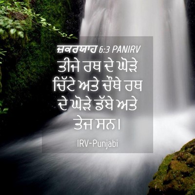Picture 04 - ਜ਼ਕਰਯਾਹ 6:3 PANIRV - ਤੀਜੇ ਰਥ ਦੇ ਘੋੜੇ - Bible Verse Picture