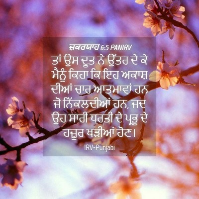 Picture 04 - ਜ਼ਕਰਯਾਹ 6:5 PANIRV - ਤਾਂ ਉਸ ਦੂਤ ਨੇ ਉੱਤਰ - Bible Verse Picture