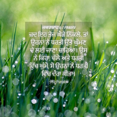 Picture 04 - ਜ਼ਕਰਯਾਹ 6:7 PANIRV - ਜਦ ਇਹ ਤੇਜ ਘੋੜੇ - Bible Verse Picture
