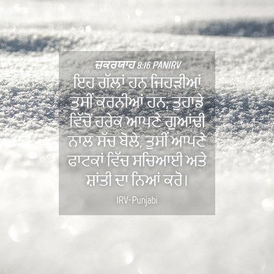 Picture 04 - ਜ਼ਕਰਯਾਹ 8:16 PANIRV - ਇਹ ਗੱਲਾਂ ਹਨ - Bible Verse Picture