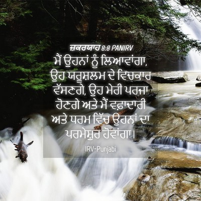 Picture 04 - ਜ਼ਕਰਯਾਹ 8:8 PANIRV - ਮੈਂ ਉਹਨਾਂ ਨੂੰ - Bible Verse Picture