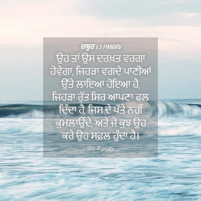 Picture 04 - ਜ਼ਬੂਰ 1:3 PANIRV - ਉਹ ਤਾਂ ਉਸ ਦਰਖ਼ਤ - Bible Verse Picture