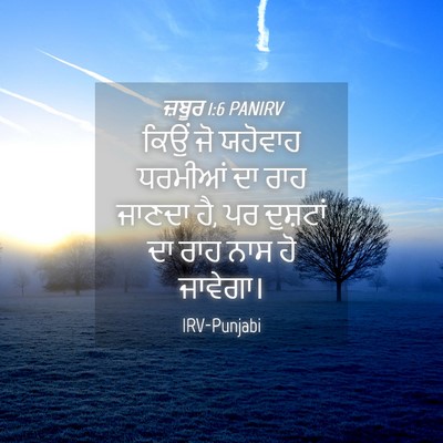 Picture 04 - ਜ਼ਬੂਰ 1:6 PANIRV - ਕਿਉਂ ਜੋ ਯਹੋਵਾਹ - Bible Verse Picture