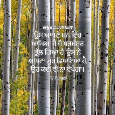 Picture 04 - ਜ਼ਬੂਰ 10:11 PANIRV - ਉਸ ਆਪਣੇ ਮਨ ਵਿੱਚ - Bible Verse Picture