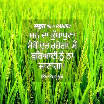 Picture 04 - ਜ਼ਬੂਰ 101:4 PANIRV - ਮਨ ਦਾ ਕੁੱਬਾਪੁਣਾ - Bible Verse Picture