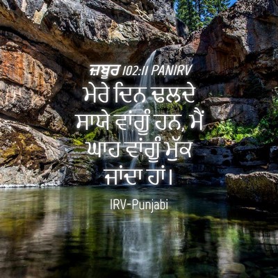 Picture 04 - ਜ਼ਬੂਰ 102:11 PANIRV - ਮੇਰੇ ਦਿਨ ਢਲਦੇ ਸਾਯੇ - Bible Verse Picture