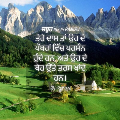 Picture 04 - ਜ਼ਬੂਰ 102:14 PANIRV - ਤੇਰੇ ਦਾਸ ਤਾਂ ਉਹ ਦੇ - Bible Verse Picture