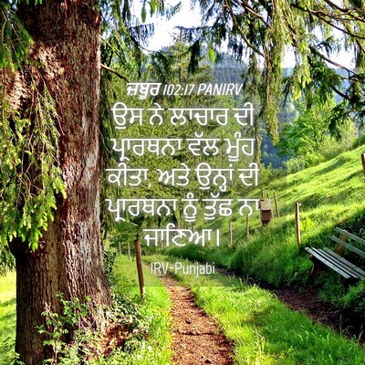 Picture 04 - ਜ਼ਬੂਰ 102:17 PANIRV - ਉਸ ਨੇ ਲਾਚਾਰ ਦੀ - Bible Verse Picture