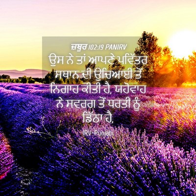 Picture 04 - ਜ਼ਬੂਰ 102:19 PANIRV - ਉਸ ਨੇ ਤਾਂ ਆਪਣੇ - Bible Verse Picture