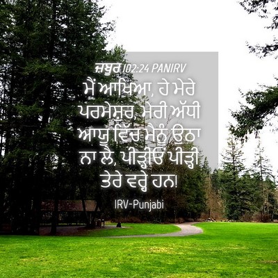 Picture 04 - ਜ਼ਬੂਰ 102:24 PANIRV - ਮੈਂ ਆਖਿਆ, ਹੇ ਮੇਰੇ - Bible Verse Picture