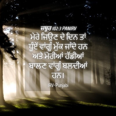 Picture 04 - ਜ਼ਬੂਰ 102:3 PANIRV - ਮੇਰੇ ਜਿਉਣ ਦੇ ਦਿਨ - Bible Verse Picture