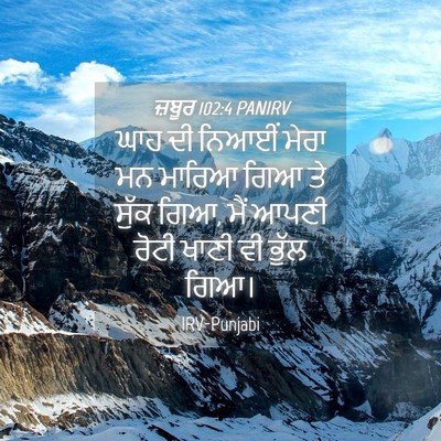 Picture 04 - ਜ਼ਬੂਰ 102:4 PANIRV - ਘਾਹ ਦੀ ਨਿਆਈਂ ਮੇਰਾ - Bible Verse Picture