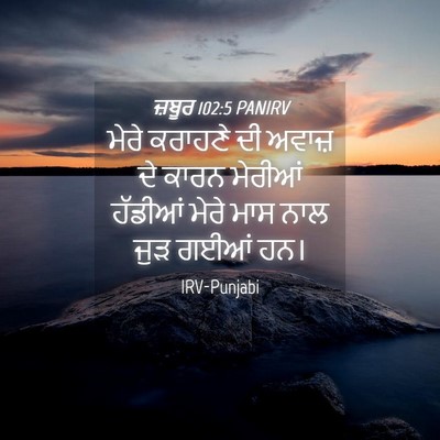 Picture 04 - ਜ਼ਬੂਰ 102:5 PANIRV - ਮੇਰੇ ਕਰਾਹਣੇ ਦੀ - Bible Verse Picture