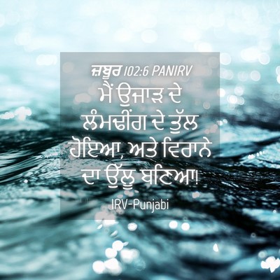 Picture 04 - ਜ਼ਬੂਰ 102:6 PANIRV - ਮੈਂ ਉਜਾੜ ਦੇ - Bible Verse Picture