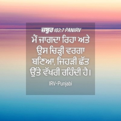 Picture 04 - ਜ਼ਬੂਰ 102:7 PANIRV - ਮੈਂ ਜਾਗਦਾ ਰਿਹਾ ਅਤੇ - Bible Verse Picture