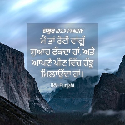 Picture 04 - ਜ਼ਬੂਰ 102:9 PANIRV - ਮੈਂ ਤਾਂ ਰੋਟੀ - Bible Verse Picture