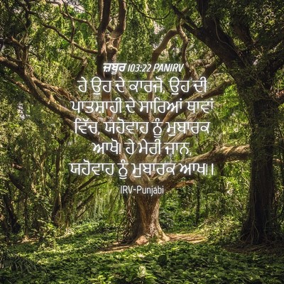 Picture 04 - ਜ਼ਬੂਰ 103:22 PANIRV - ਹੇ ਉਹ ਦੇ ਕਾਰਜੋ, ਉਹ - Bible Verse Picture
