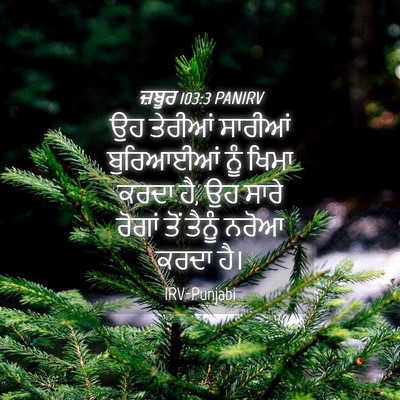 Picture 04 - ਜ਼ਬੂਰ 103:3 PANIRV - ਉਹ ਤੇਰੀਆਂ ਸਾਰੀਆਂ - Bible Verse Picture