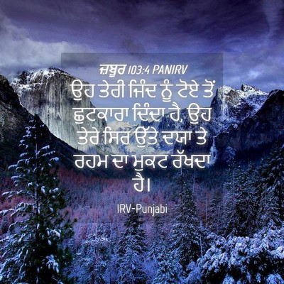 Picture 04 - ਜ਼ਬੂਰ 103:4 PANIRV - ਉਹ ਤੇਰੀ ਜਿੰਦ ਨੂੰ - Bible Verse Picture