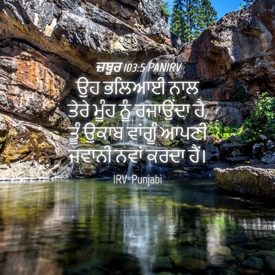 Picture 04 - ਜ਼ਬੂਰ 103:5 PANIRV - ਉਹ ਭਲਿਆਈ ਨਾਲ ਤੇਰੇ - Bible Verse Picture