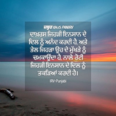 Picture 04 - ਜ਼ਬੂਰ 104:15 PANIRV - ਦਾਖ਼ਰਸ ਜਿਹੜੀ - Bible Verse Picture