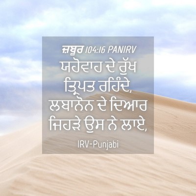 Picture 04 - ਜ਼ਬੂਰ 104:16 PANIRV - ਯਹੋਵਾਹ ਦੇ ਰੁੱਖ - Bible Verse Picture