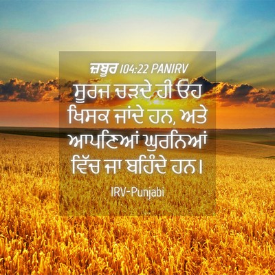 Picture 04 - ਜ਼ਬੂਰ 104:22 PANIRV - ਸੂਰਜ ਚੜਦੇ ਹੀ ਓਹ - Bible Verse Picture