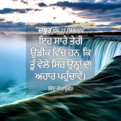 Picture 04 - ਜ਼ਬੂਰ 104:27 PANIRV - ਇਹ ਸਾਰੇ ਤੇਰੀ ਉਡੀਕ - Bible Verse Picture