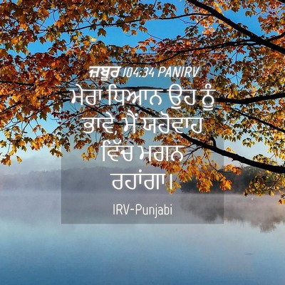 Picture 04 - ਜ਼ਬੂਰ 104:34 PANIRV - ਮੇਰਾ ਧਿਆਨ ਉਹ ਨੂੰ - Bible Verse Picture